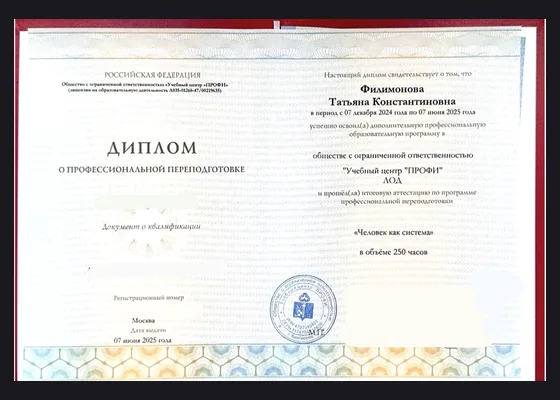 Диплом — Человек как система